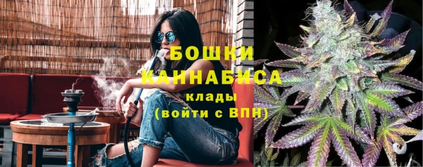 марки lsd Бородино